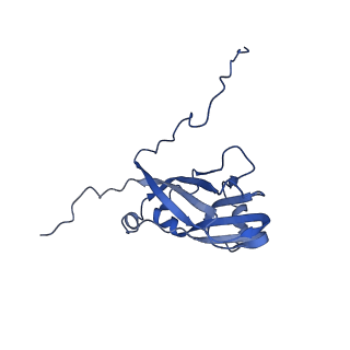 13344_7pe1_RC_v1-1
Cryo-EM structure of BMV-derived VLP expressed in E. coli and assembled in the presence of tRNA (tVLP)