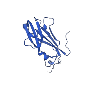 13344_7pe1_RD_v1-1
Cryo-EM structure of BMV-derived VLP expressed in E. coli and assembled in the presence of tRNA (tVLP)