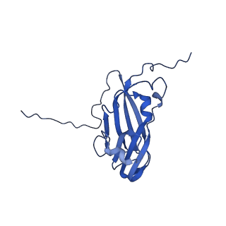 13344_7pe1_RF_v1-1
Cryo-EM structure of BMV-derived VLP expressed in E. coli and assembled in the presence of tRNA (tVLP)
