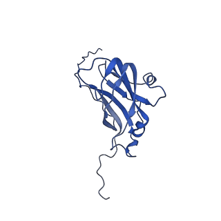 13344_7pe1_R_v1-1
Cryo-EM structure of BMV-derived VLP expressed in E. coli and assembled in the presence of tRNA (tVLP)