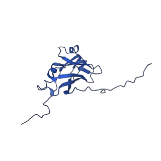 13344_7pe1_SA_v1-1
Cryo-EM structure of BMV-derived VLP expressed in E. coli and assembled in the presence of tRNA (tVLP)