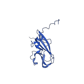 13344_7pe1_SC_v1-1
Cryo-EM structure of BMV-derived VLP expressed in E. coli and assembled in the presence of tRNA (tVLP)