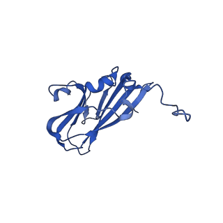 13344_7pe1_SE_v1-1
Cryo-EM structure of BMV-derived VLP expressed in E. coli and assembled in the presence of tRNA (tVLP)