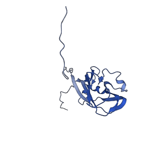 13344_7pe1_SF_v1-1
Cryo-EM structure of BMV-derived VLP expressed in E. coli and assembled in the presence of tRNA (tVLP)