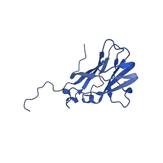 13344_7pe1_S_v1-1
Cryo-EM structure of BMV-derived VLP expressed in E. coli and assembled in the presence of tRNA (tVLP)
