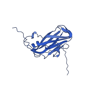 13344_7pe1_TB_v1-1
Cryo-EM structure of BMV-derived VLP expressed in E. coli and assembled in the presence of tRNA (tVLP)