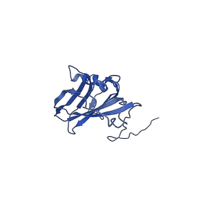 13344_7pe1_TD_v1-1
Cryo-EM structure of BMV-derived VLP expressed in E. coli and assembled in the presence of tRNA (tVLP)