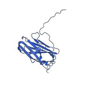 13344_7pe1_TE_v1-1
Cryo-EM structure of BMV-derived VLP expressed in E. coli and assembled in the presence of tRNA (tVLP)