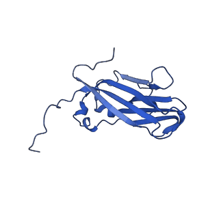 13344_7pe1_TF_v1-1
Cryo-EM structure of BMV-derived VLP expressed in E. coli and assembled in the presence of tRNA (tVLP)