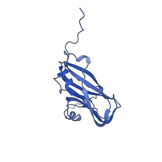 13344_7pe1_T_v1-1
Cryo-EM structure of BMV-derived VLP expressed in E. coli and assembled in the presence of tRNA (tVLP)