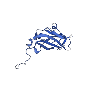 13344_7pe1_UA_v1-1
Cryo-EM structure of BMV-derived VLP expressed in E. coli and assembled in the presence of tRNA (tVLP)