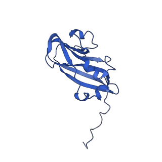 13344_7pe1_UD_v1-1
Cryo-EM structure of BMV-derived VLP expressed in E. coli and assembled in the presence of tRNA (tVLP)