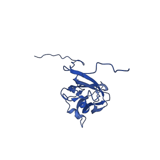 13344_7pe1_UF_v1-1
Cryo-EM structure of BMV-derived VLP expressed in E. coli and assembled in the presence of tRNA (tVLP)