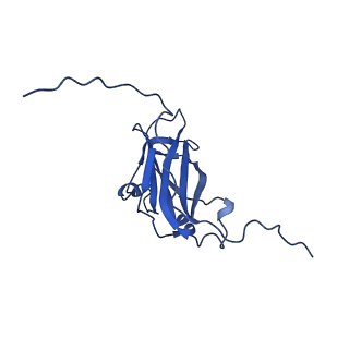 13344_7pe1_VA_v1-1
Cryo-EM structure of BMV-derived VLP expressed in E. coli and assembled in the presence of tRNA (tVLP)