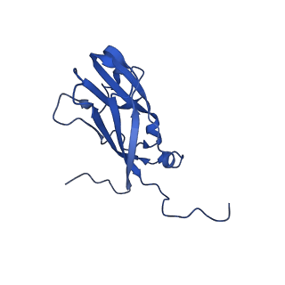 13344_7pe1_VB_v1-1
Cryo-EM structure of BMV-derived VLP expressed in E. coli and assembled in the presence of tRNA (tVLP)