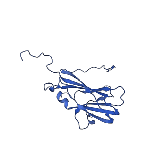 13344_7pe1_VC_v1-1
Cryo-EM structure of BMV-derived VLP expressed in E. coli and assembled in the presence of tRNA (tVLP)