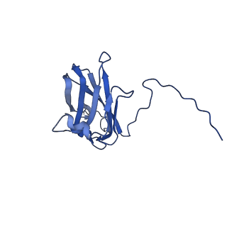 13344_7pe1_VD_v1-1
Cryo-EM structure of BMV-derived VLP expressed in E. coli and assembled in the presence of tRNA (tVLP)
