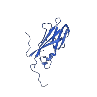 13344_7pe1_VE_v1-1
Cryo-EM structure of BMV-derived VLP expressed in E. coli and assembled in the presence of tRNA (tVLP)