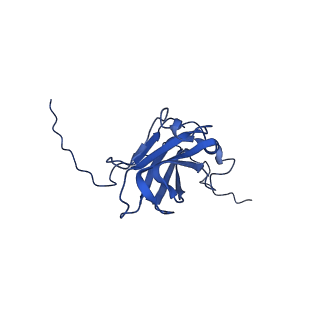 13344_7pe1_V_v1-1
Cryo-EM structure of BMV-derived VLP expressed in E. coli and assembled in the presence of tRNA (tVLP)