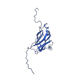 13344_7pe1_WA_v1-1
Cryo-EM structure of BMV-derived VLP expressed in E. coli and assembled in the presence of tRNA (tVLP)