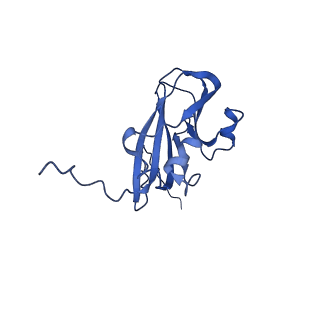 13344_7pe1_WB_v1-1
Cryo-EM structure of BMV-derived VLP expressed in E. coli and assembled in the presence of tRNA (tVLP)