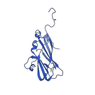 13344_7pe1_WC_v1-1
Cryo-EM structure of BMV-derived VLP expressed in E. coli and assembled in the presence of tRNA (tVLP)