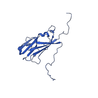 13344_7pe1_WD_v1-1
Cryo-EM structure of BMV-derived VLP expressed in E. coli and assembled in the presence of tRNA (tVLP)