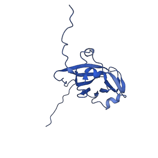 13344_7pe1_WE_v1-1
Cryo-EM structure of BMV-derived VLP expressed in E. coli and assembled in the presence of tRNA (tVLP)