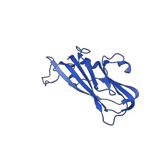 13344_7pe1_WF_v1-1
Cryo-EM structure of BMV-derived VLP expressed in E. coli and assembled in the presence of tRNA (tVLP)