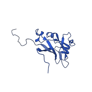 13344_7pe1_XA_v1-1
Cryo-EM structure of BMV-derived VLP expressed in E. coli and assembled in the presence of tRNA (tVLP)
