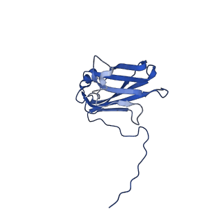 13344_7pe1_XB_v1-1
Cryo-EM structure of BMV-derived VLP expressed in E. coli and assembled in the presence of tRNA (tVLP)