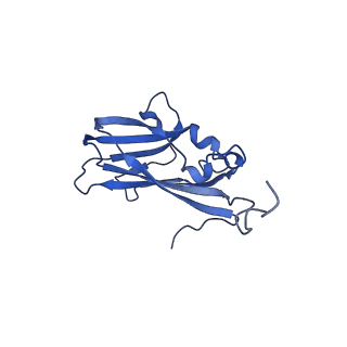 13344_7pe1_XD_v1-1
Cryo-EM structure of BMV-derived VLP expressed in E. coli and assembled in the presence of tRNA (tVLP)