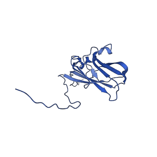 13344_7pe1_XE_v1-1
Cryo-EM structure of BMV-derived VLP expressed in E. coli and assembled in the presence of tRNA (tVLP)