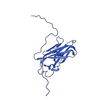 13344_7pe1_XF_v1-1
Cryo-EM structure of BMV-derived VLP expressed in E. coli and assembled in the presence of tRNA (tVLP)