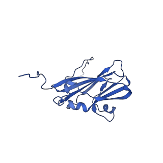 13344_7pe1_X_v1-1
Cryo-EM structure of BMV-derived VLP expressed in E. coli and assembled in the presence of tRNA (tVLP)