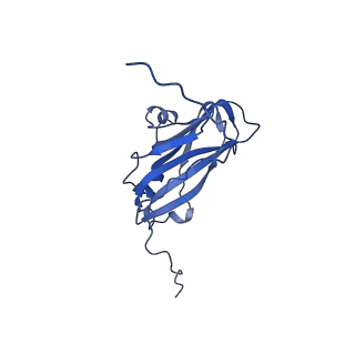 13344_7pe1_YA_v1-1
Cryo-EM structure of BMV-derived VLP expressed in E. coli and assembled in the presence of tRNA (tVLP)