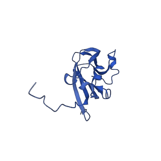 13344_7pe1_YB_v1-1
Cryo-EM structure of BMV-derived VLP expressed in E. coli and assembled in the presence of tRNA (tVLP)
