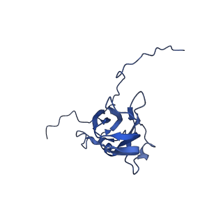 13344_7pe1_YC_v1-1
Cryo-EM structure of BMV-derived VLP expressed in E. coli and assembled in the presence of tRNA (tVLP)