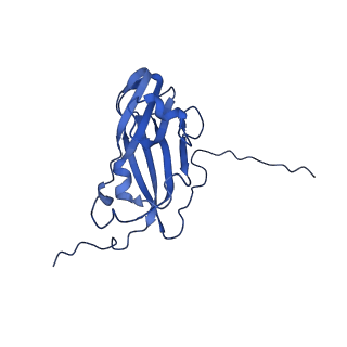 13344_7pe1_YD_v1-1
Cryo-EM structure of BMV-derived VLP expressed in E. coli and assembled in the presence of tRNA (tVLP)