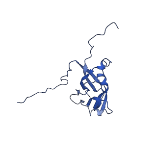 13344_7pe1_YF_v1-1
Cryo-EM structure of BMV-derived VLP expressed in E. coli and assembled in the presence of tRNA (tVLP)