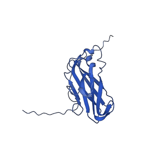 13344_7pe1_Y_v1-1
Cryo-EM structure of BMV-derived VLP expressed in E. coli and assembled in the presence of tRNA (tVLP)