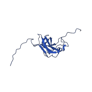 13344_7pe1_ZA_v1-1
Cryo-EM structure of BMV-derived VLP expressed in E. coli and assembled in the presence of tRNA (tVLP)
