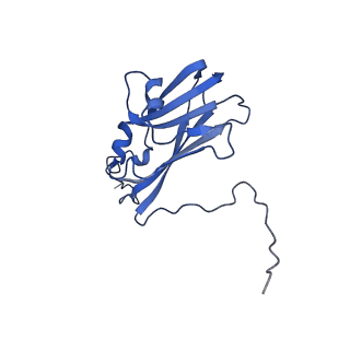 13344_7pe1_ZB_v1-1
Cryo-EM structure of BMV-derived VLP expressed in E. coli and assembled in the presence of tRNA (tVLP)