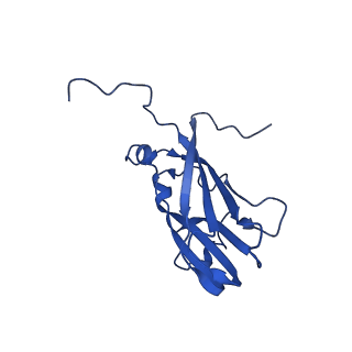13344_7pe1_ZC_v1-1
Cryo-EM structure of BMV-derived VLP expressed in E. coli and assembled in the presence of tRNA (tVLP)