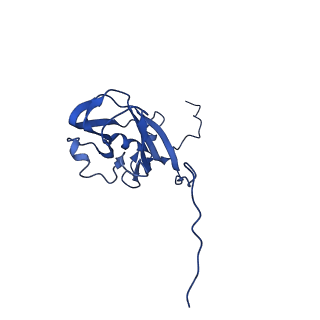 13344_7pe1_ZD_v1-1
Cryo-EM structure of BMV-derived VLP expressed in E. coli and assembled in the presence of tRNA (tVLP)