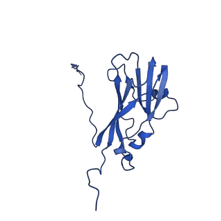 13345_7pe2_AA_v1-1
Cryo-EM structure of BMV-derived VLP expressed in E. coli (eVLP)