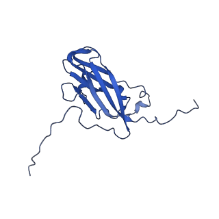 13345_7pe2_AC_v1-1
Cryo-EM structure of BMV-derived VLP expressed in E. coli (eVLP)