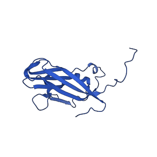 13345_7pe2_AE_v1-1
Cryo-EM structure of BMV-derived VLP expressed in E. coli (eVLP)