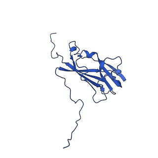 13345_7pe2_AF_v1-1
Cryo-EM structure of BMV-derived VLP expressed in E. coli (eVLP)
