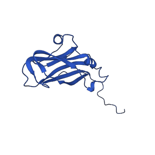 13345_7pe2_A_v1-1
Cryo-EM structure of BMV-derived VLP expressed in E. coli (eVLP)